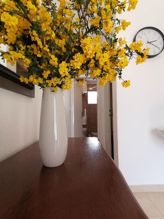 Apartment Borovi With Terrace And Parking Podaca Exterior foto